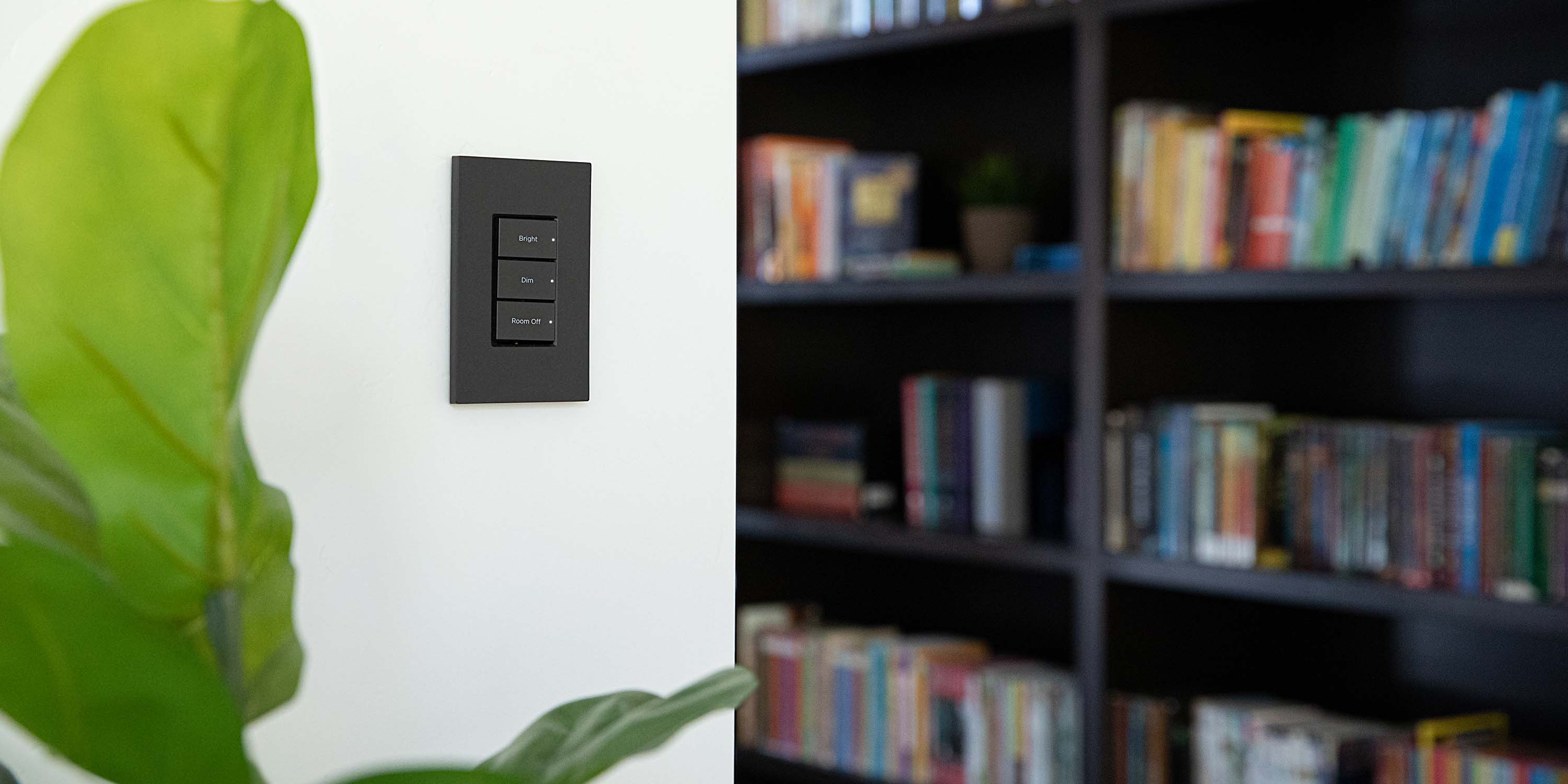 control4 keypad next to a plant and a bookshelf